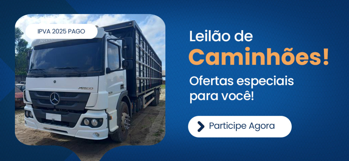 Leilão de Utilitários